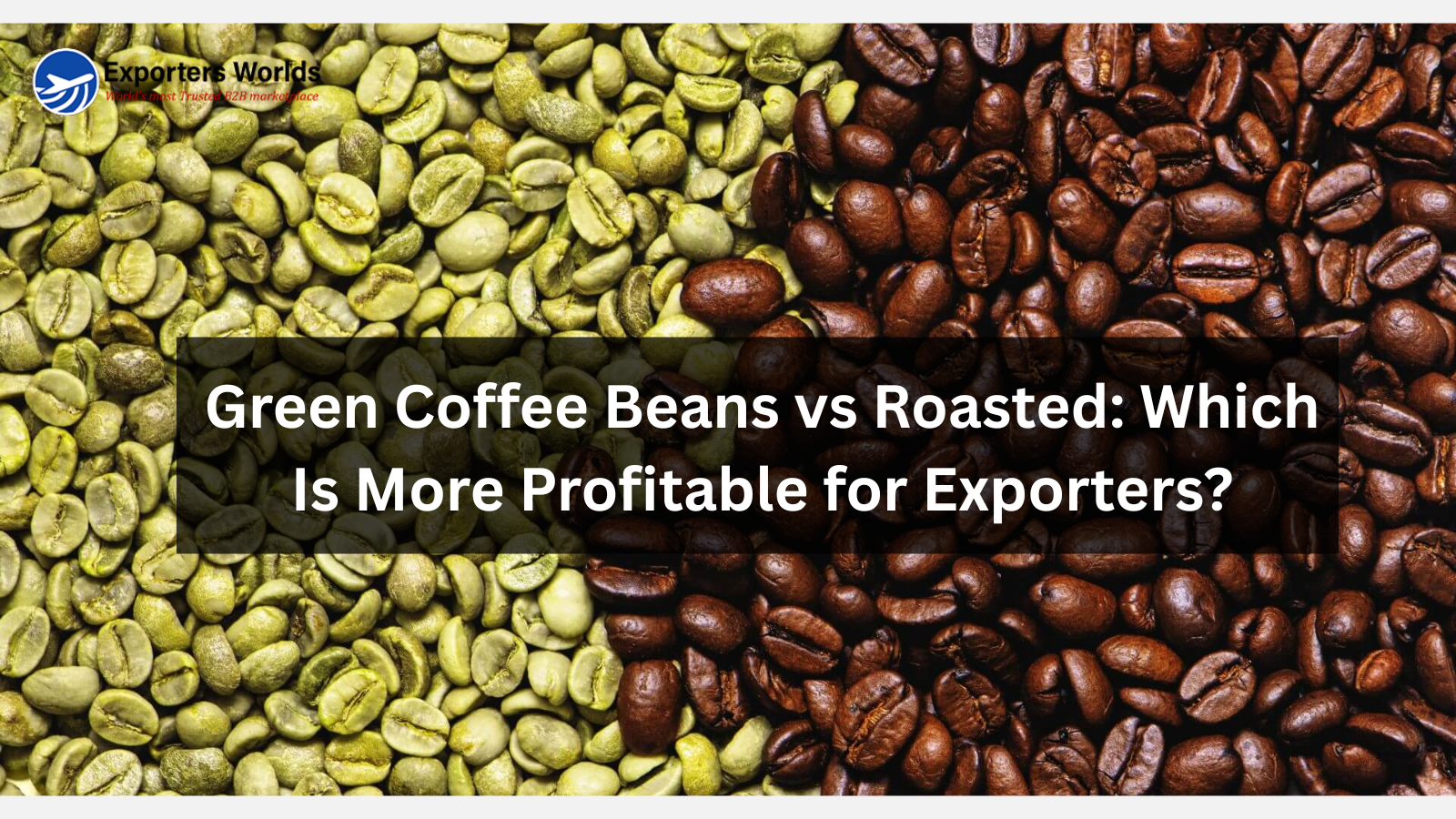 Green Coffee Beans vs Roasted Which Is More Profitable for Exporters?