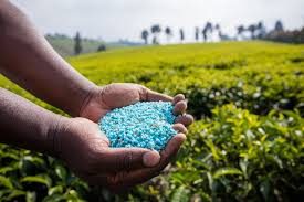 Plant Fertilizers