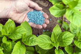Easy to Use Fertilizers